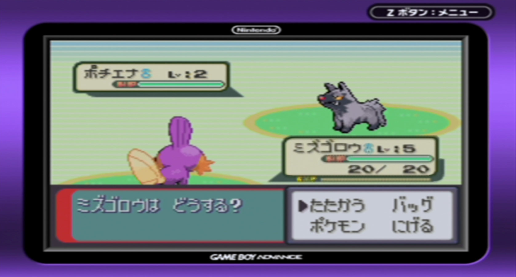 ミズゴロウの色乱数に成功