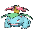 通常色フシギバナ(XY)