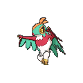 通常色ルチャブル(XY)