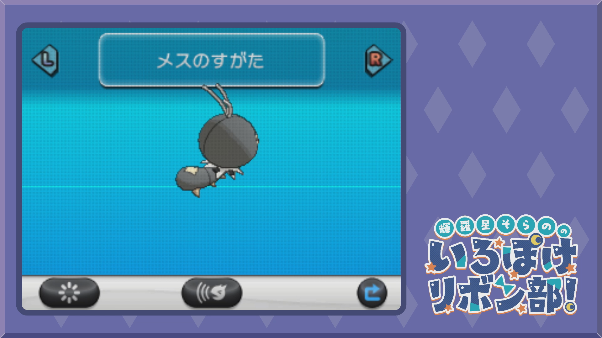 通常色のコフキムシ2(XY)