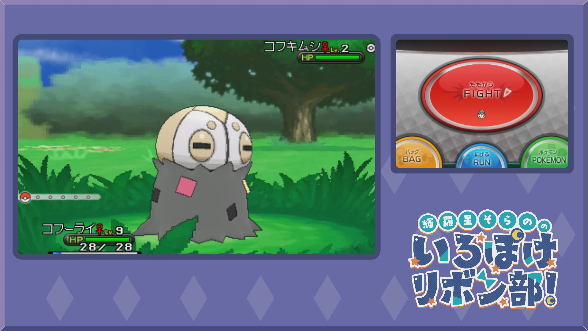 色違いコフーライをボールから出す3(XY)
