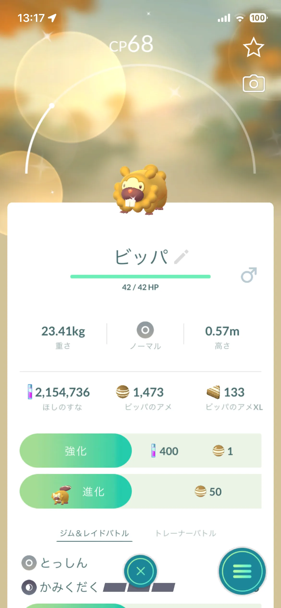 色違いビッパとの出会い(GO)