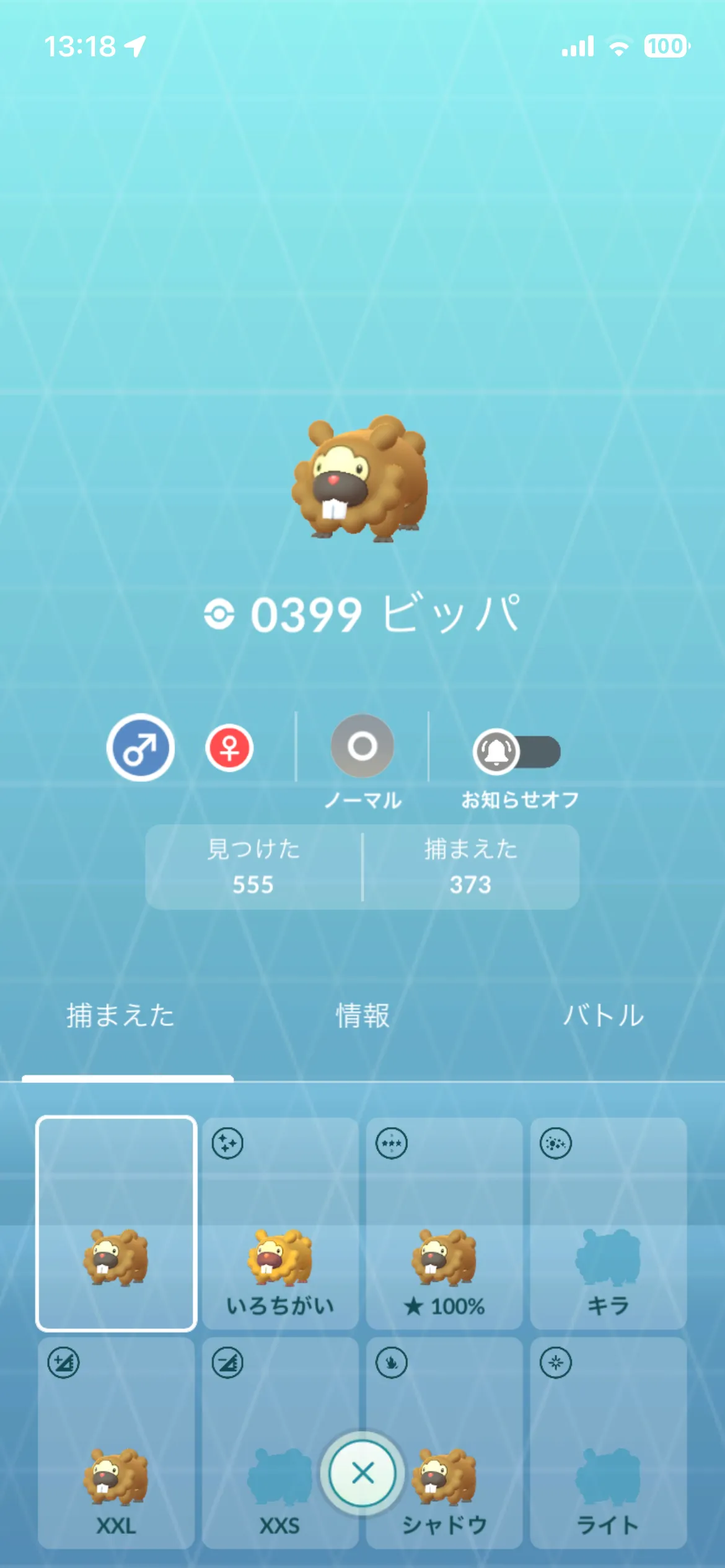 通常色のビッパ(GO)