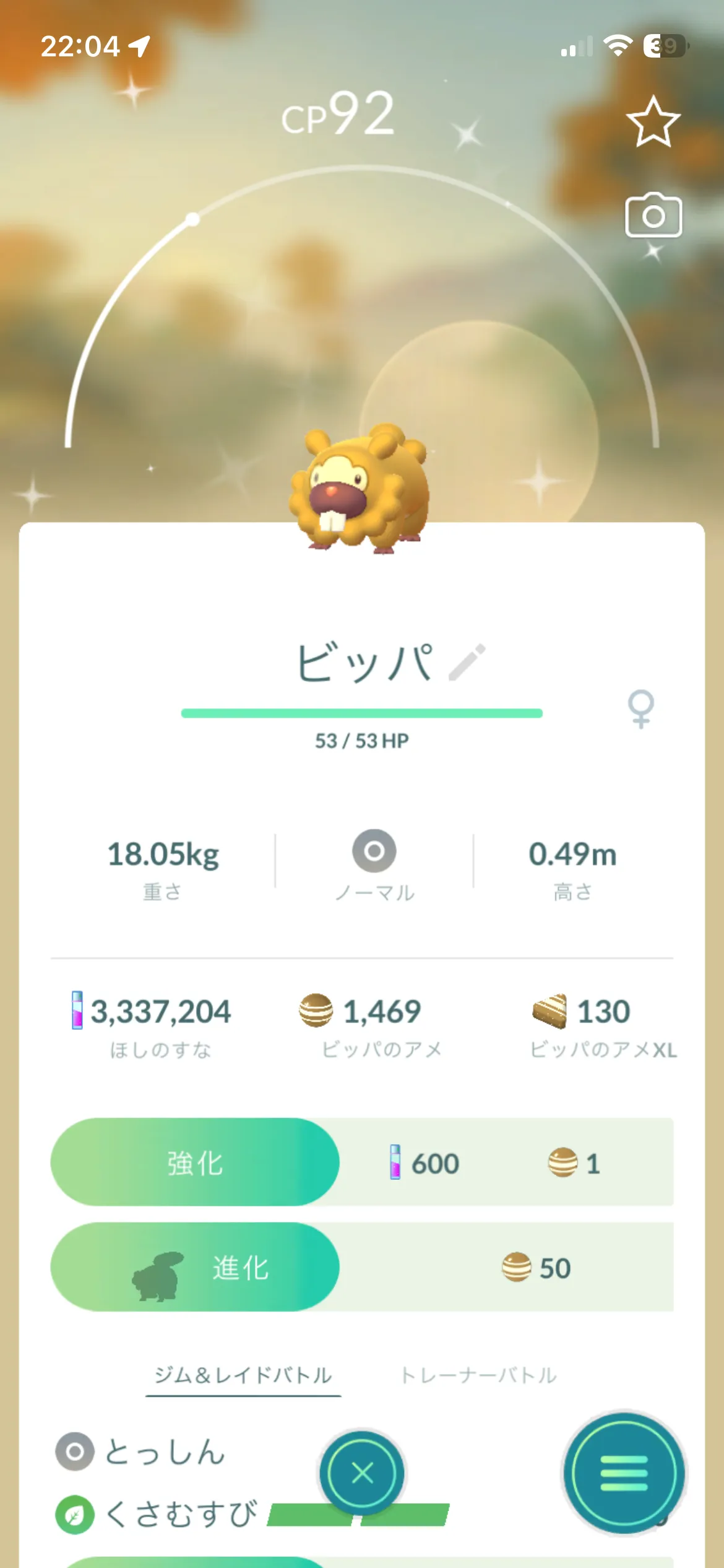 色違いビッパとの出会い(GO)