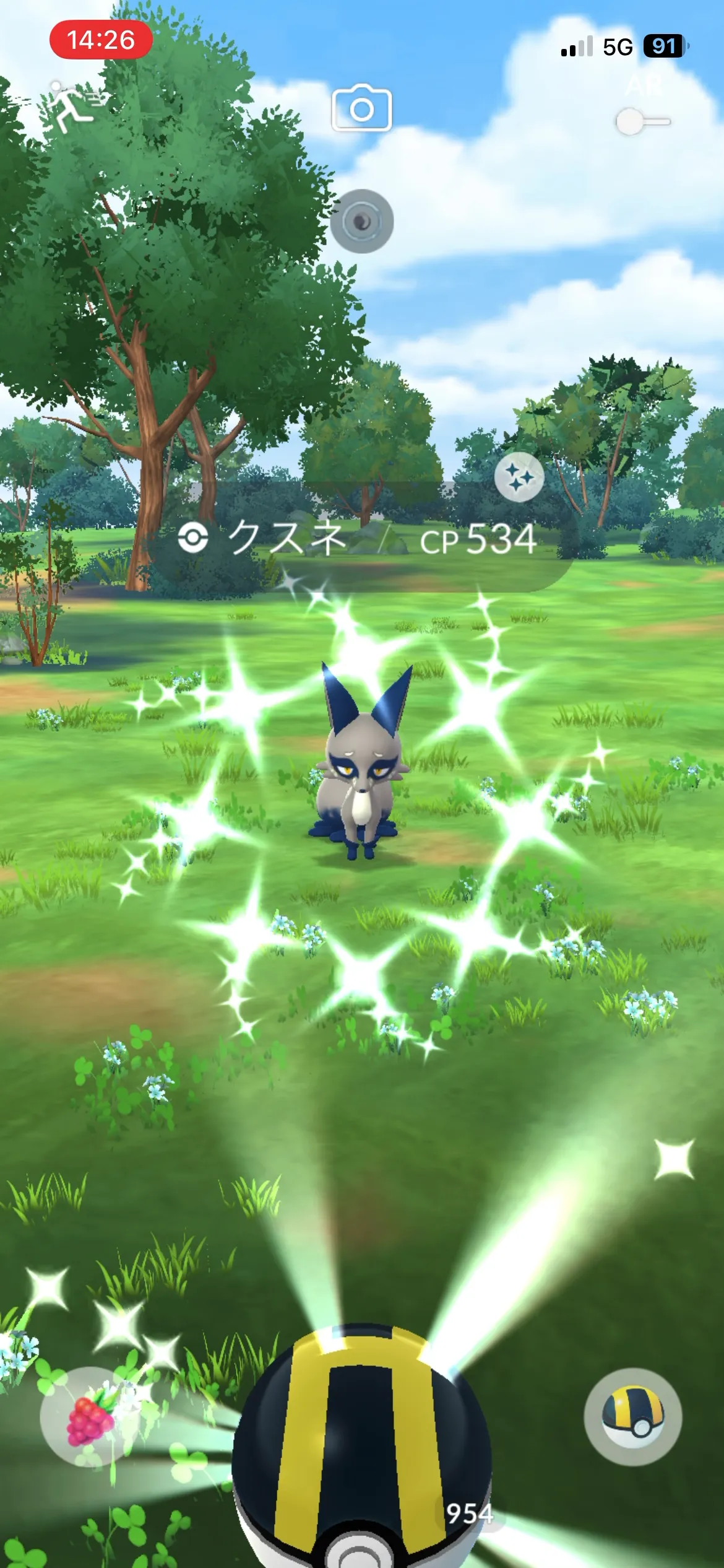 色違いクスネとの出会い(GO)1