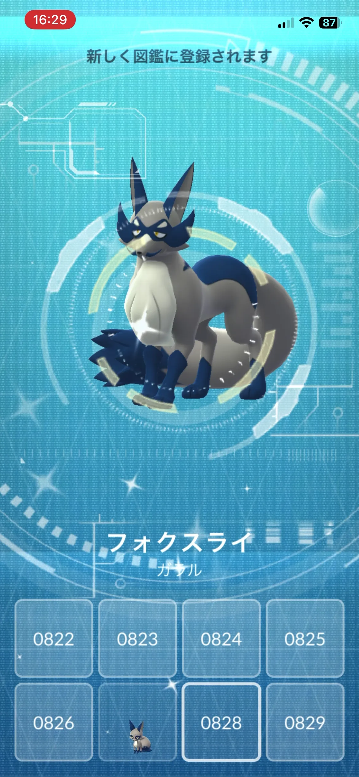 色違いフォクスライとの出会い(GO)1