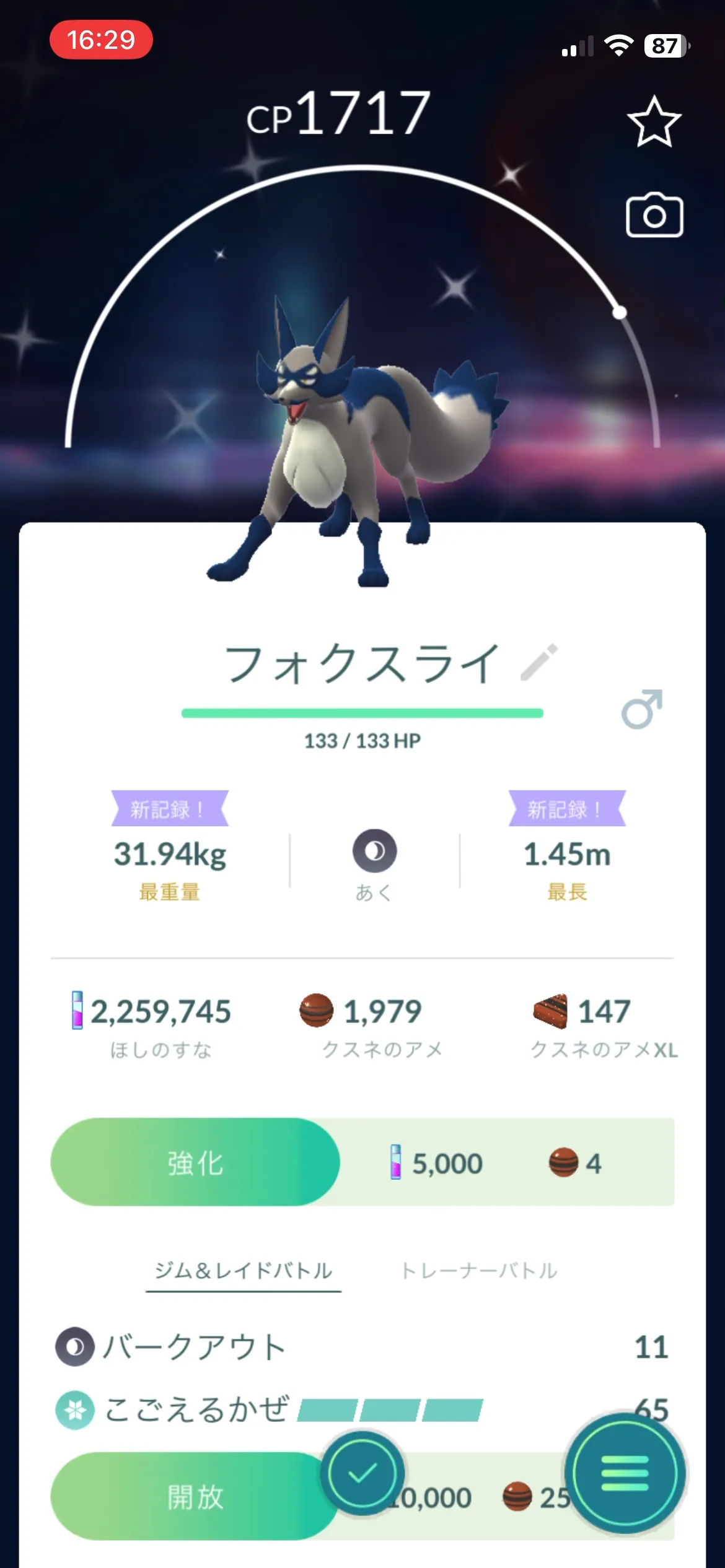 色違いフォクスライとの出会い(GO)2