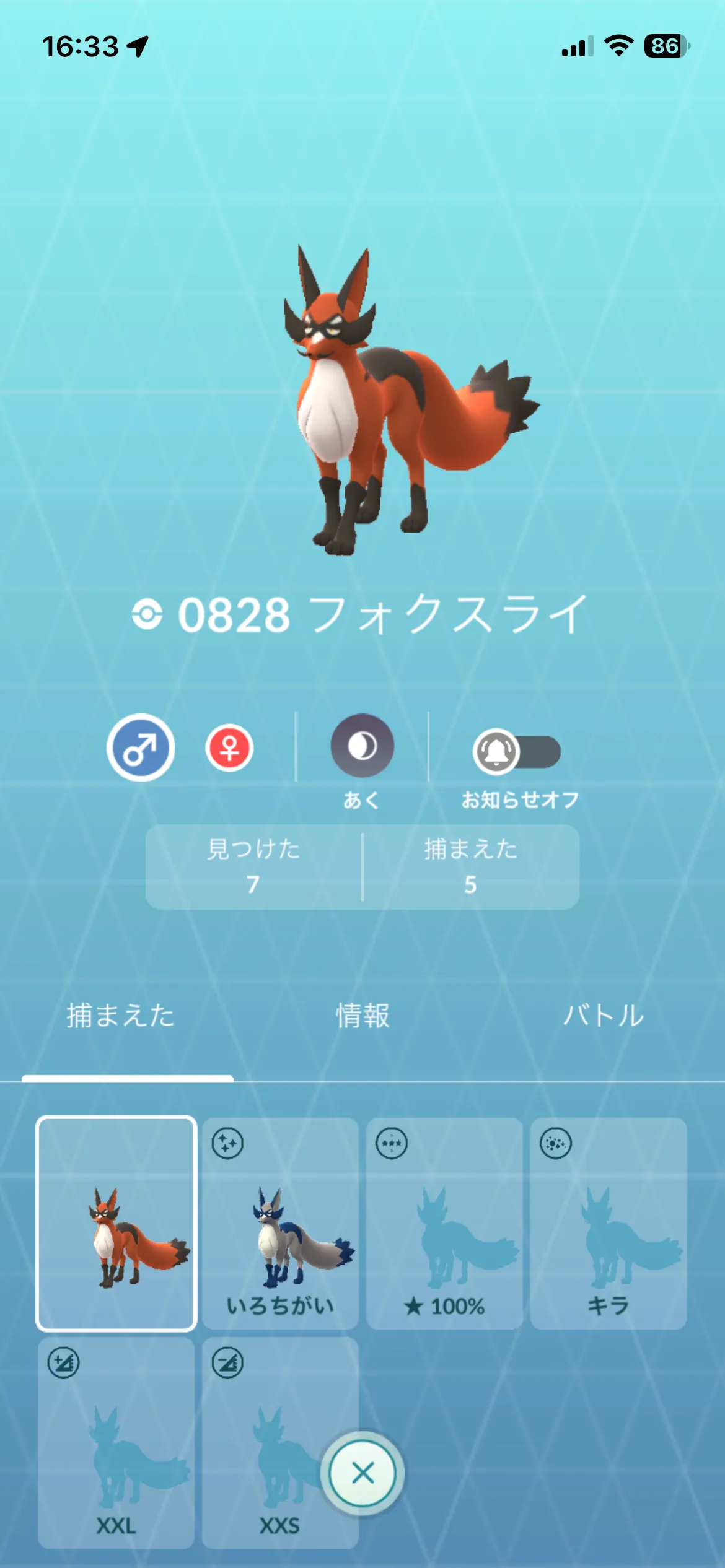 通常色のフォクスライ(GO)