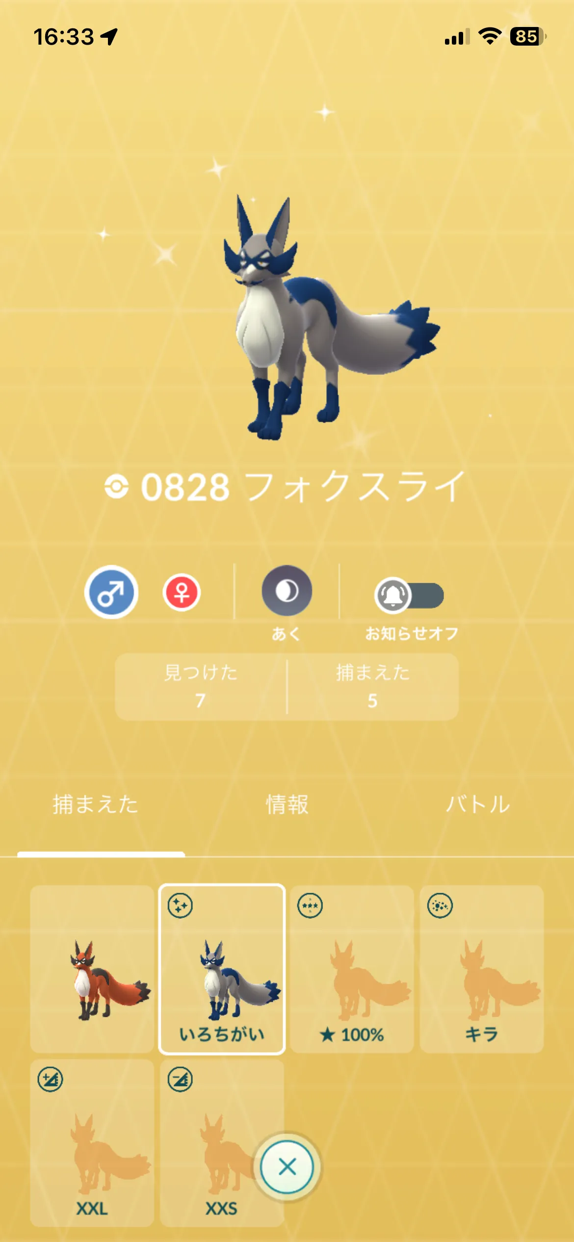 色違いのフォクスライ(GO)