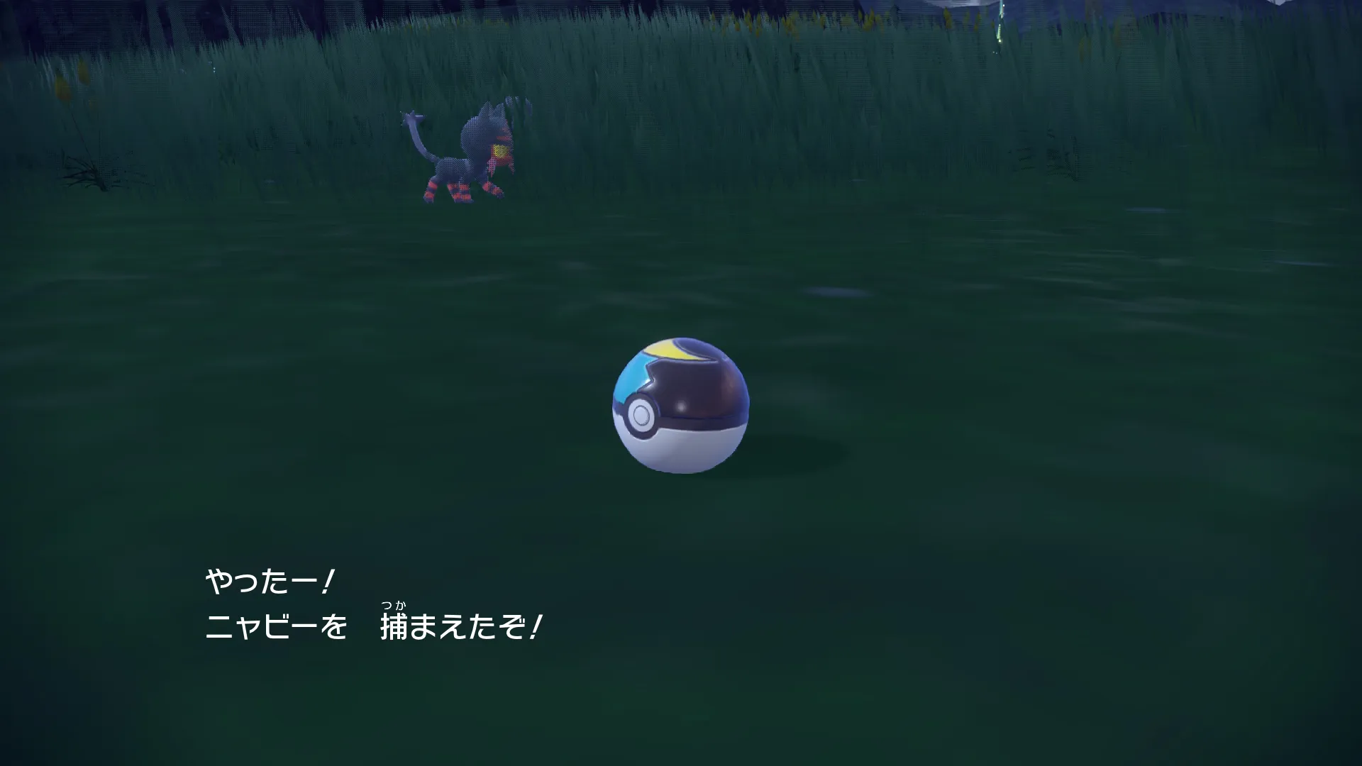 色違いニャビーとの出会い(SV)3